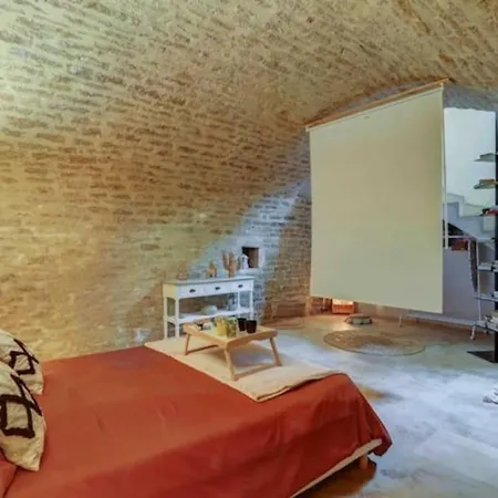 L'authentique - New Cinema - Unique - Hypercentre - Rent Immo 公寓